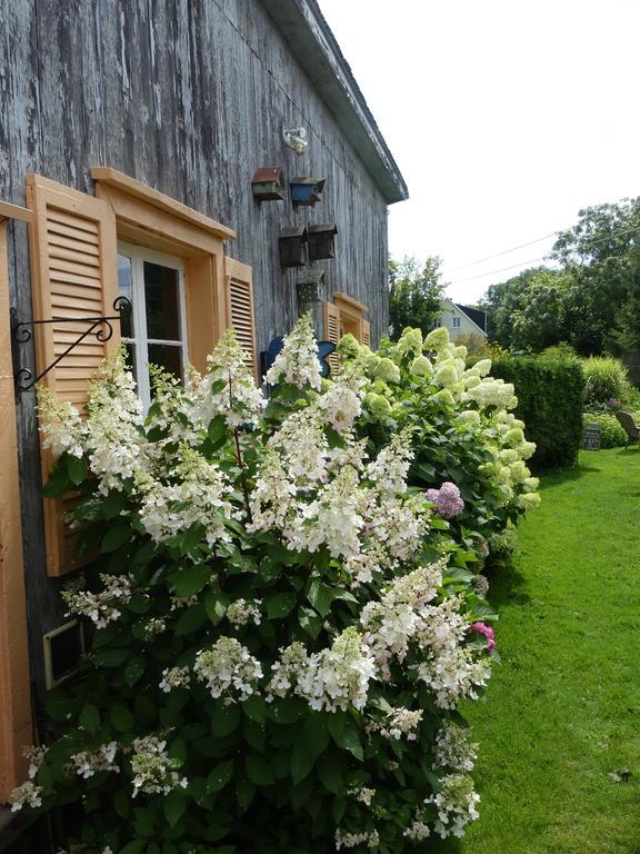 Gite Du Village - Deschambault Екстер'єр фото